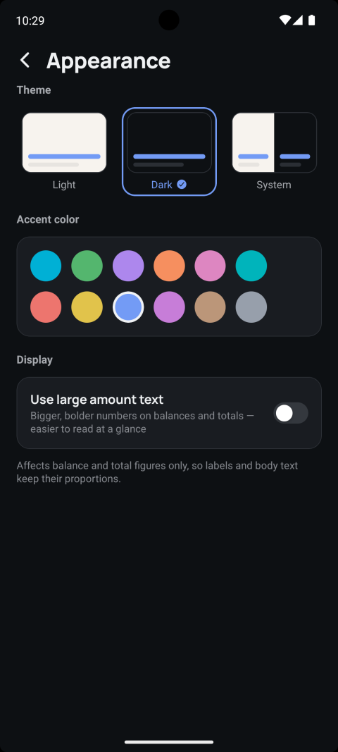 Appearance settings: Light, Dark, and System theme options, an accent color palette, and a large amount text toggle